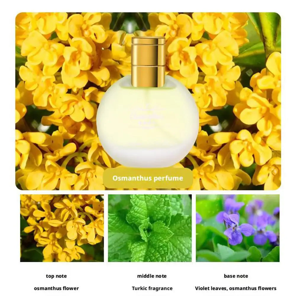 Floral Fresh Fragrance For Women Osmanthus Jasmine Lily Rose Fresh Floral Scent Spray Elegance Fragrance Dating Deodorant EDP