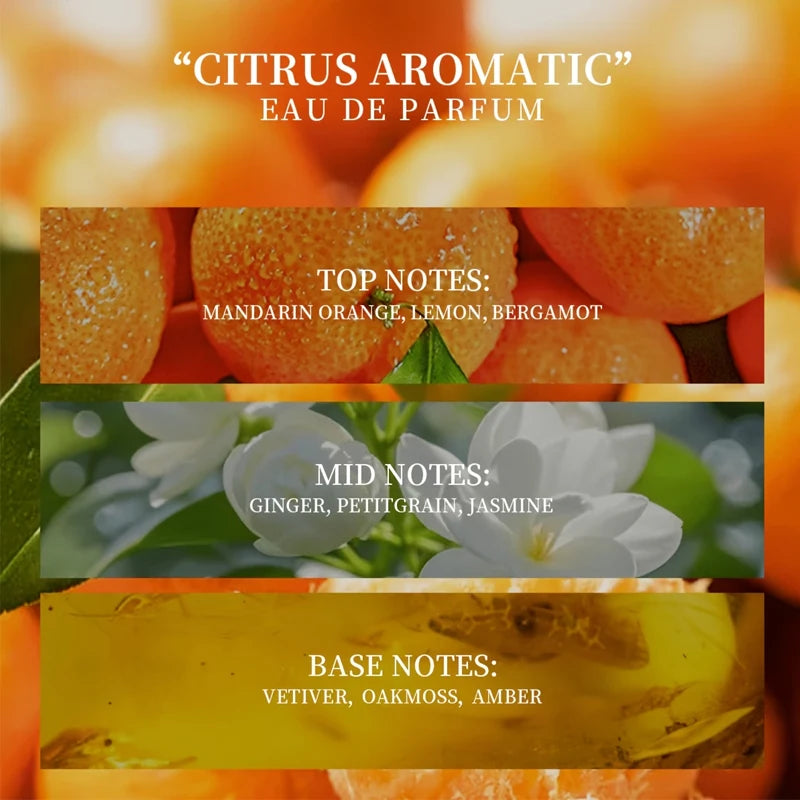 Women's Orange-Scented Roll-On Perfume, Elegant Citrus Fragrance, Light and Natural Scent, Unique and Refreshing, Increases the Attention from the Opposite Sex. Selected Perfume Ingredients, Alcohol-Free, Mild and Non-Irritat
